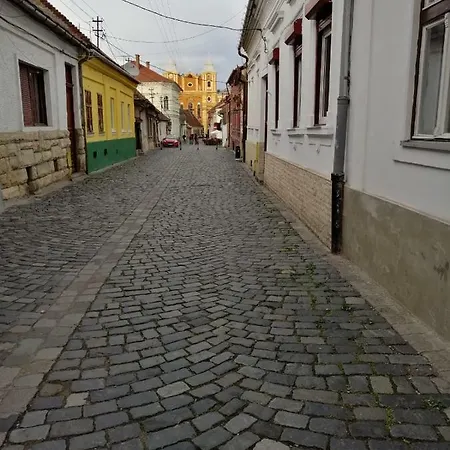 Zan Central Micu Klein Apartment Cluj-Napoca
